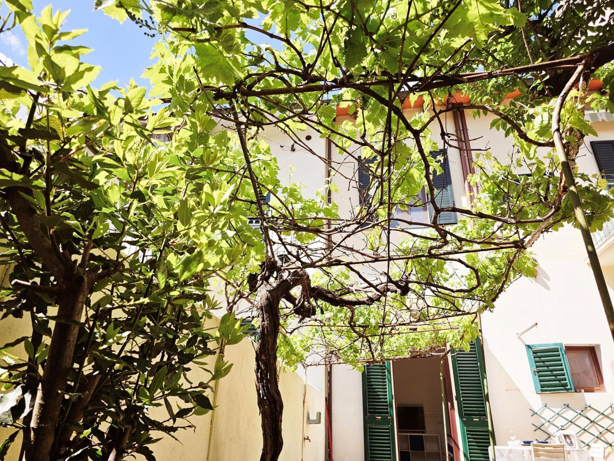 Apartamento Alice'S Garden Florencia Exterior foto